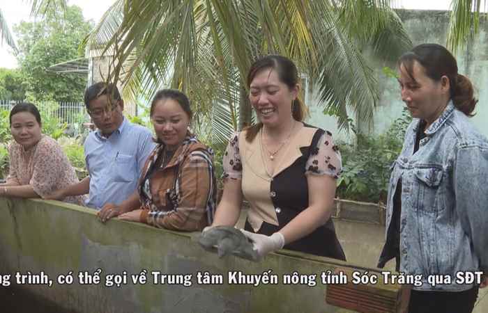 Chuyên mục Khuyến ngư: Giới thiệu mô hình nuôi BaBa từ sản xuất đến tiêu thụ (10-05-2022)